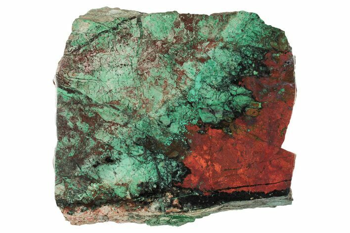 Colorful Sonora Sunset (Chrysocolla Cuprite) Slab - Mexico #192925